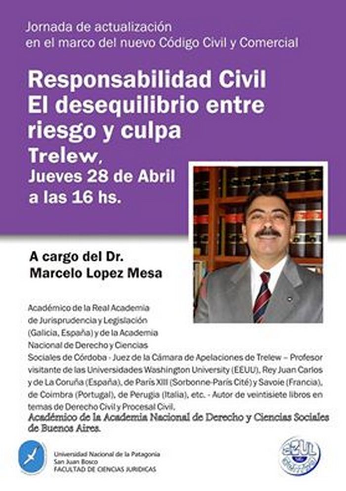 responsabilidad civil riesgo culpa