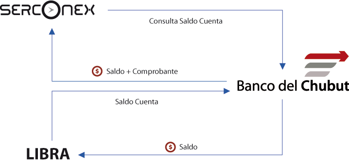 serconex-graf1