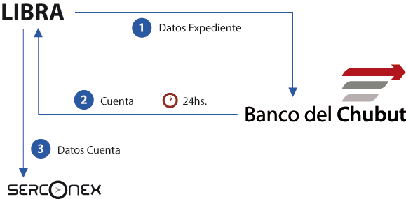 serconex-graf2