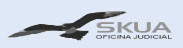 skua logo